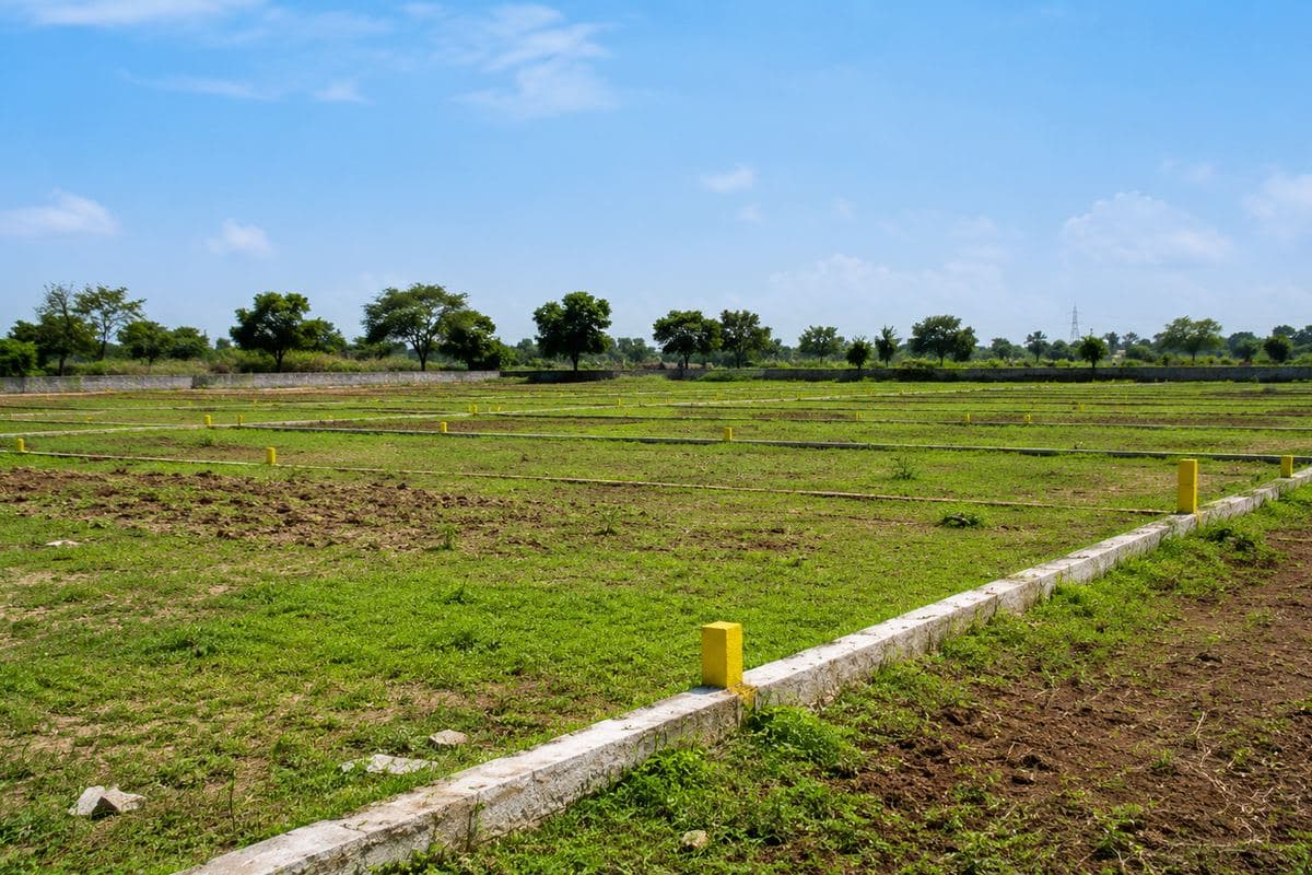 Plotted agricultural land marked out with boundary stones under a clear Rajasthan sky